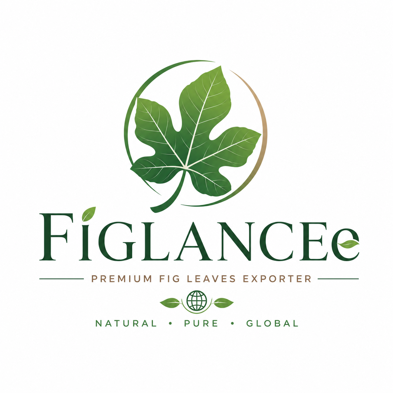 FiGLANCE